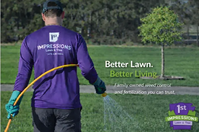 1st Impressions Lawn & Tree photo from the Google listing
