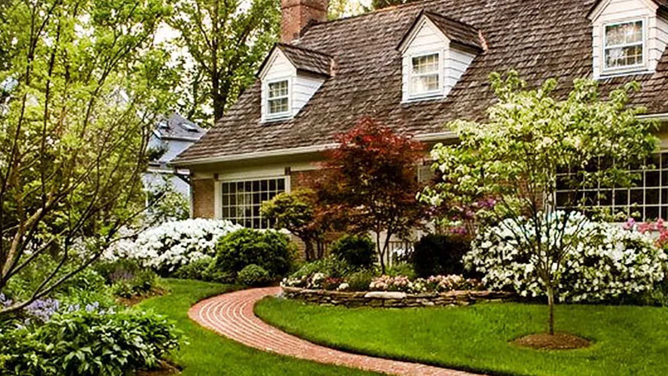 A Clean Cut Lawn Care photo from the Google listing