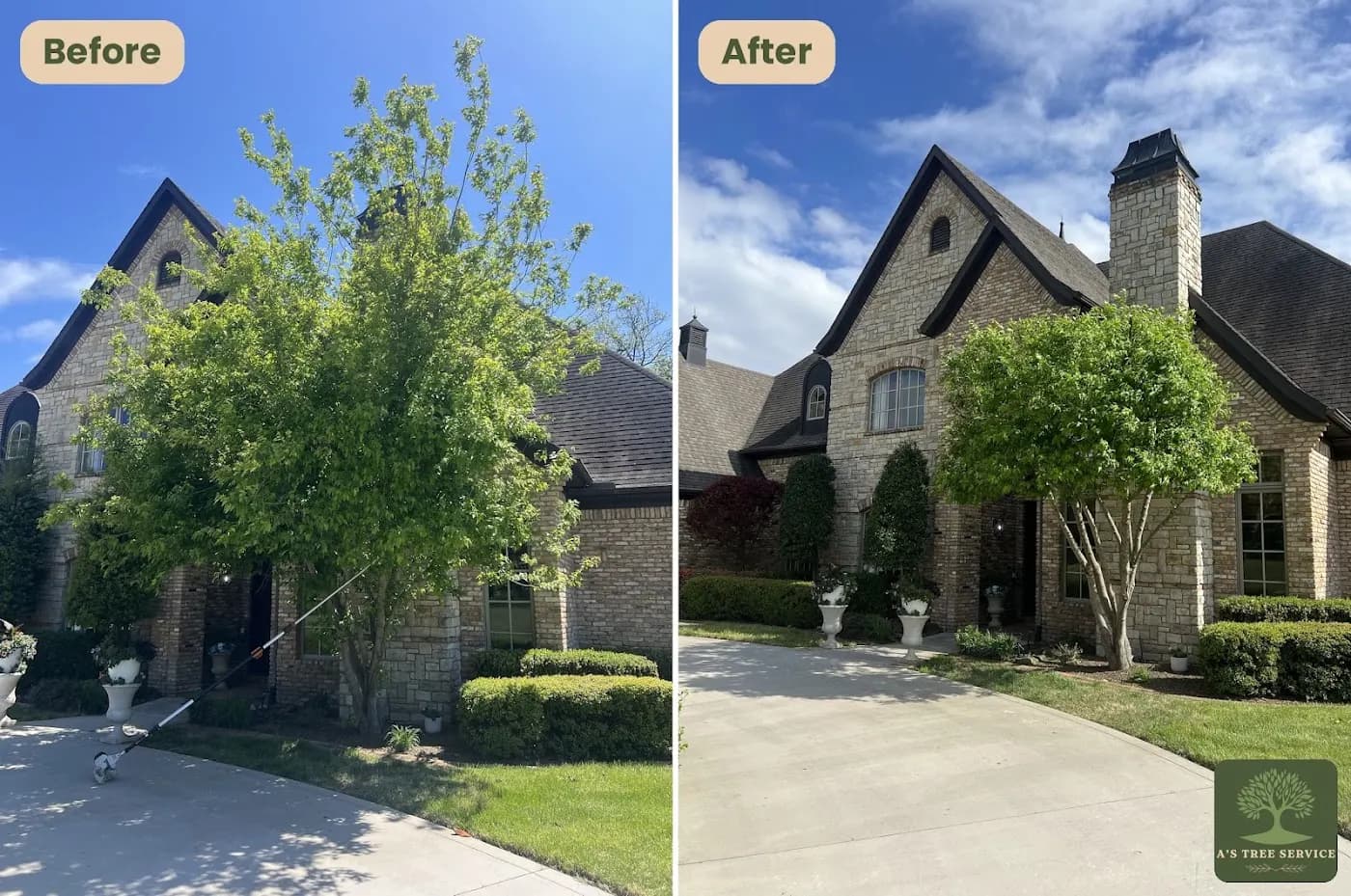 A's Tree Service photo from the Google listing
