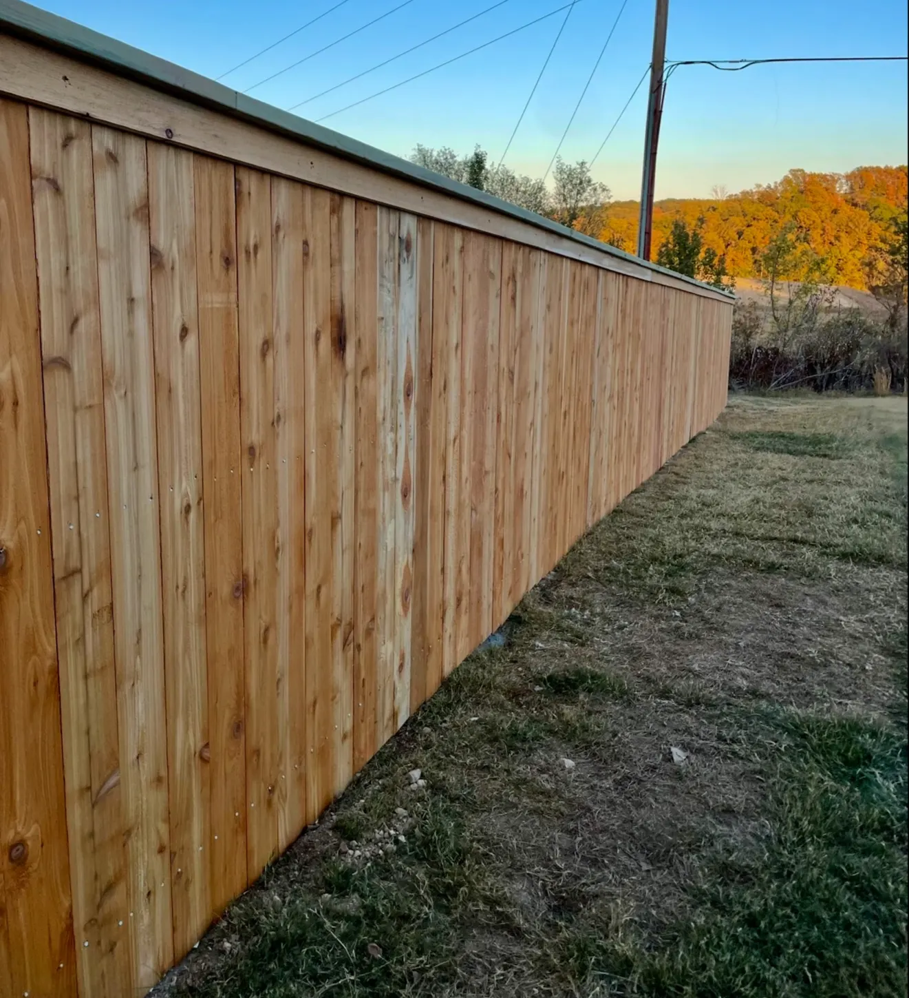 All American Fence & Stain LLC. photo from the Google listing