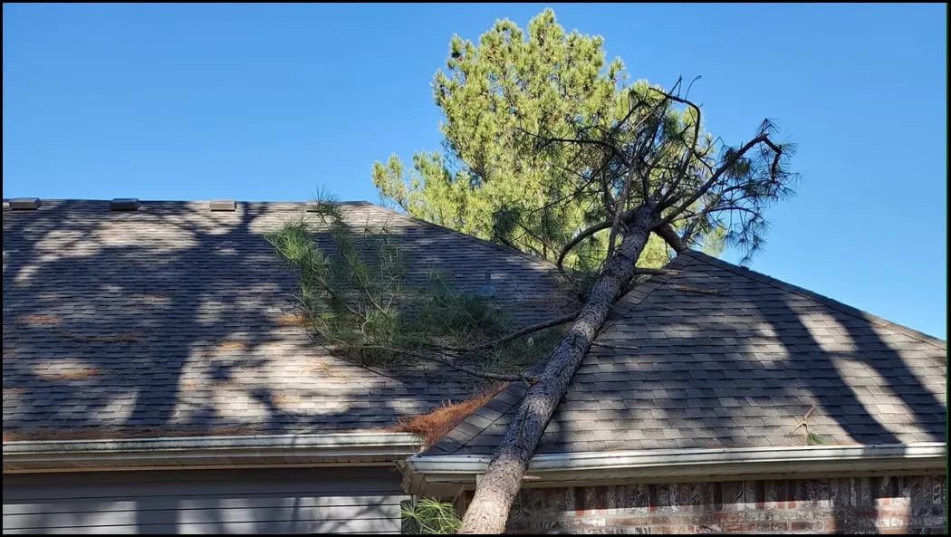 Brown's Tree Care photo from the Google listing