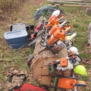 Budget Tree Service Bentonville photo from the Google listing