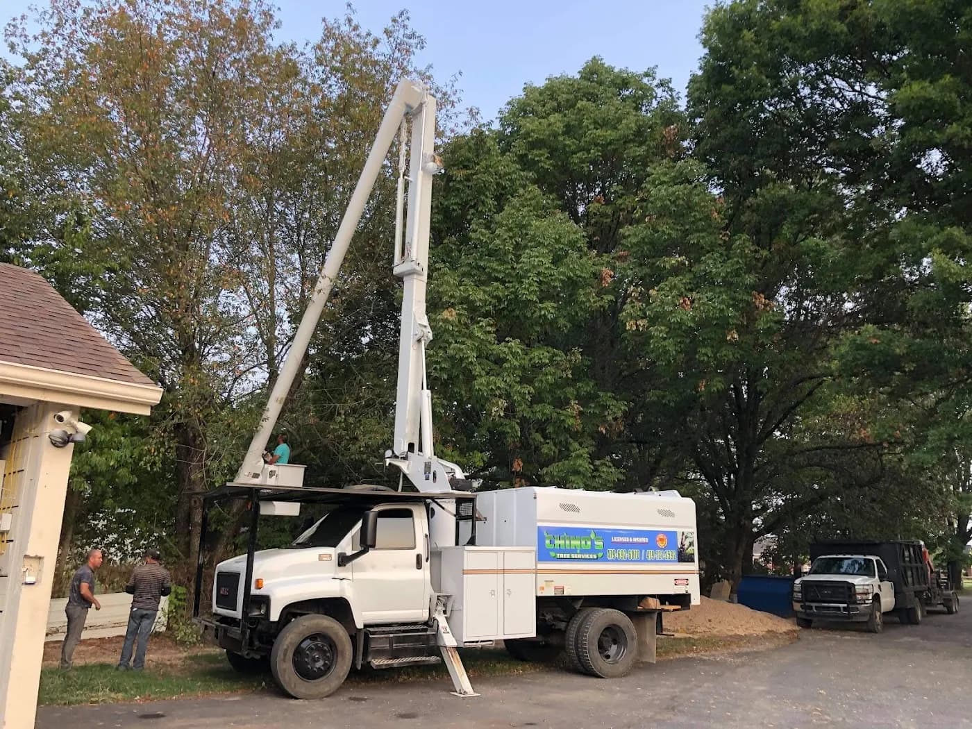 Chino's Tree Service photo from the Google listing