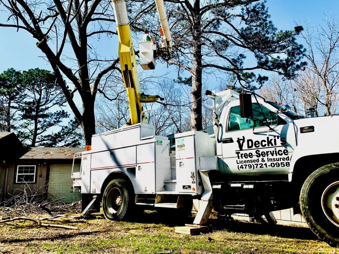 Decki's Tree Service photo from the Google listing