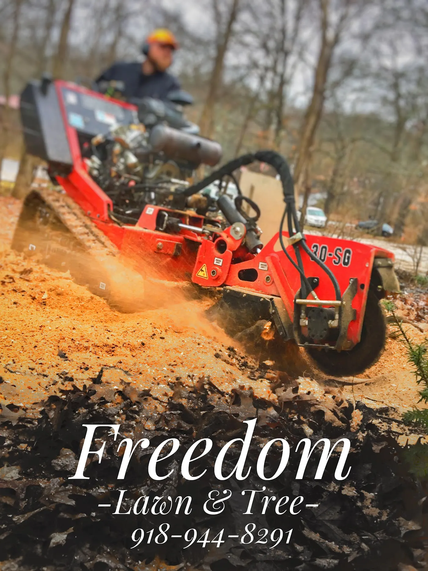 Freedom Tree Service photo from the Google listing