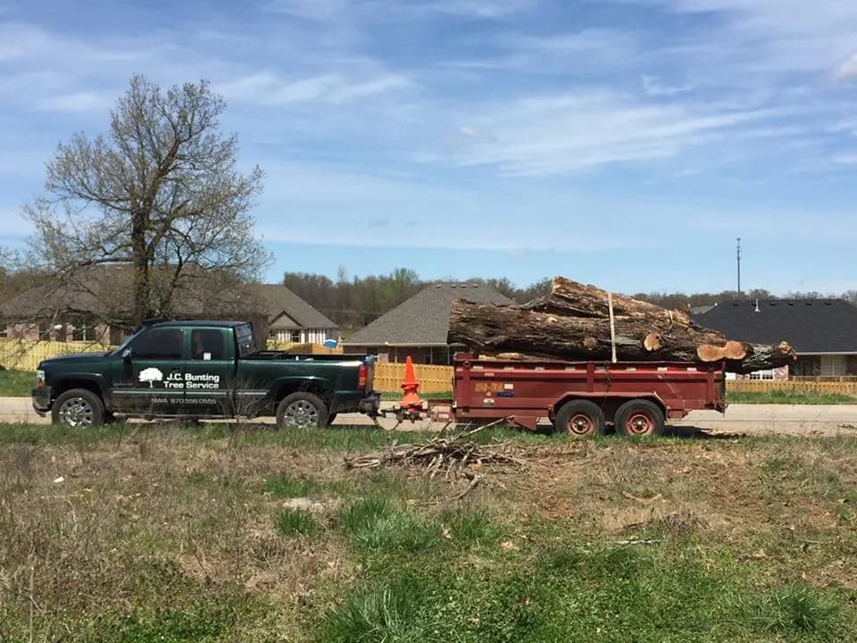 J.C. Bunting Tree Service photo from the Google listing