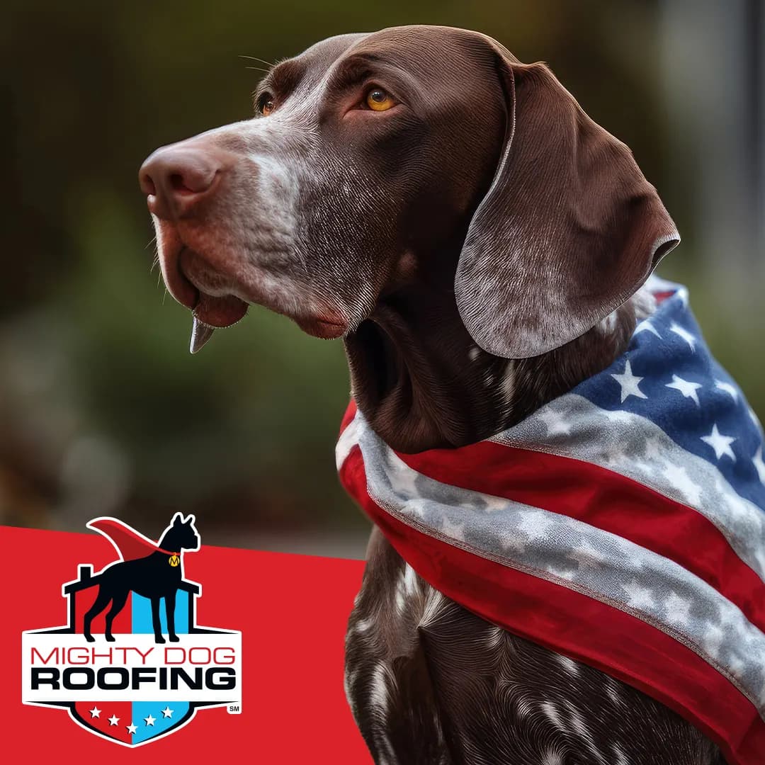 Mighty Dog Roofing of Bentonville photo from the Google listing
