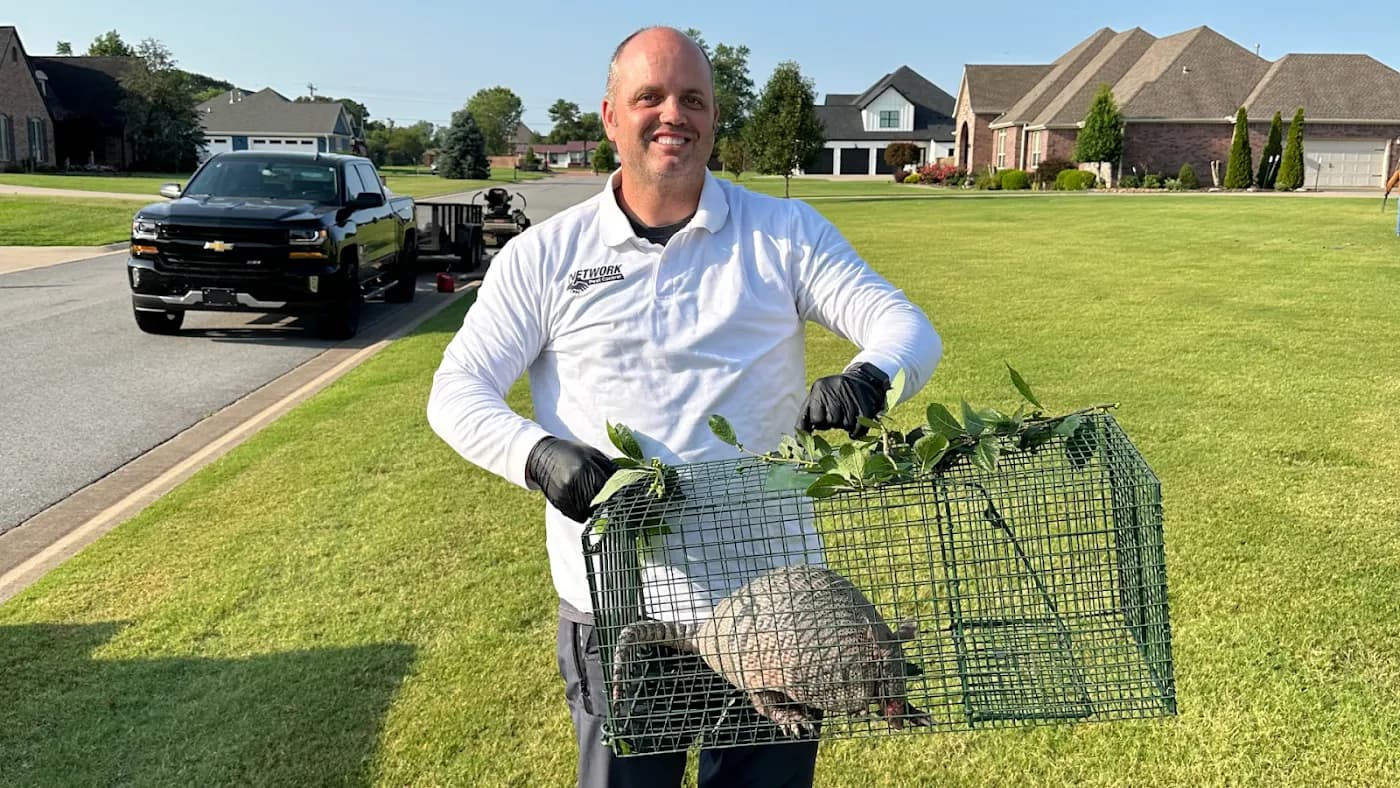 Network Pest Control photo from the Google listing