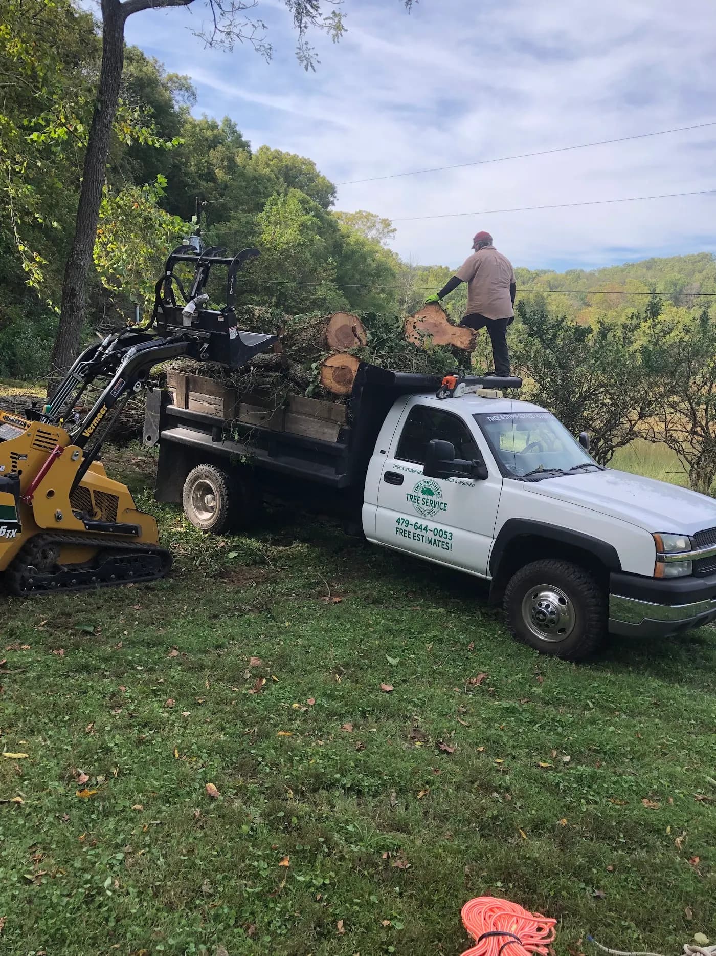 NWA BROTHERS TREE SERVICE photo from the Google listing