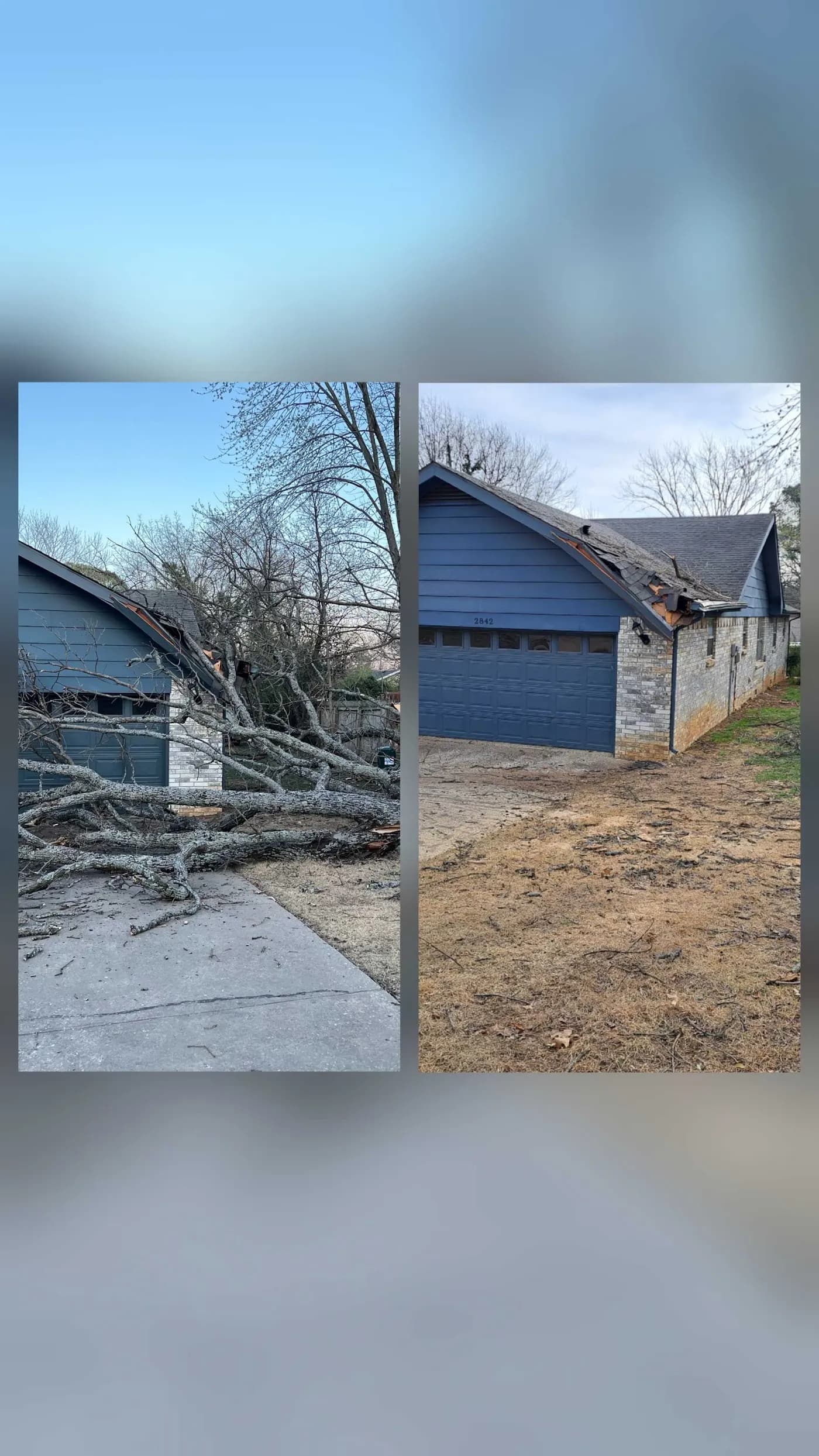 Overall Tree Service photo from the Google listing