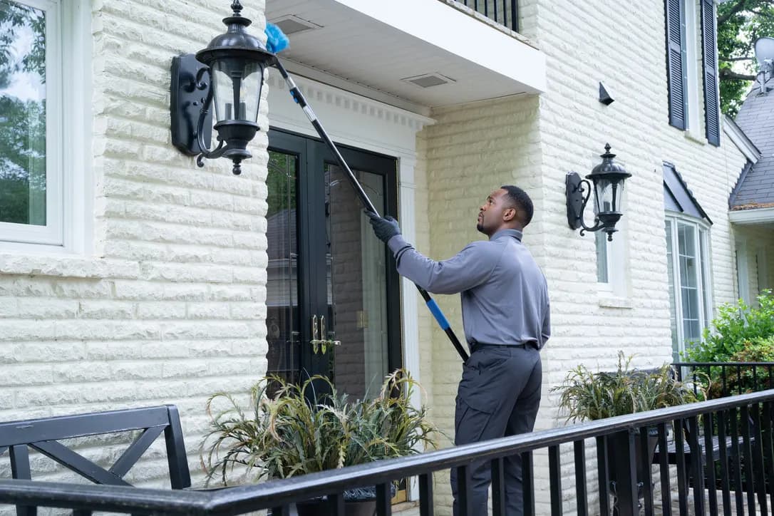 Palisade Pest Control photo from the Google listing