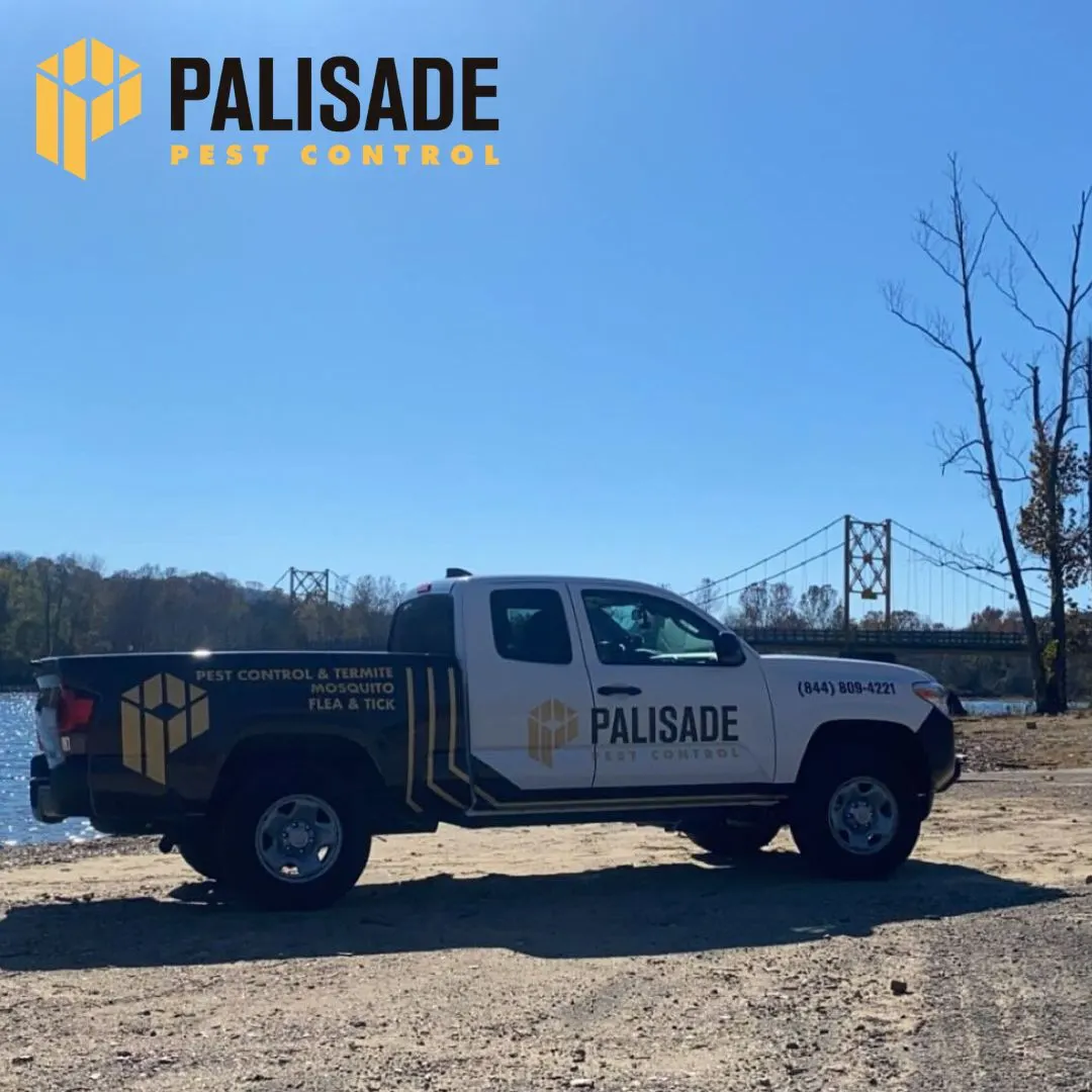 Palisade Pest Control photo from the Google listing