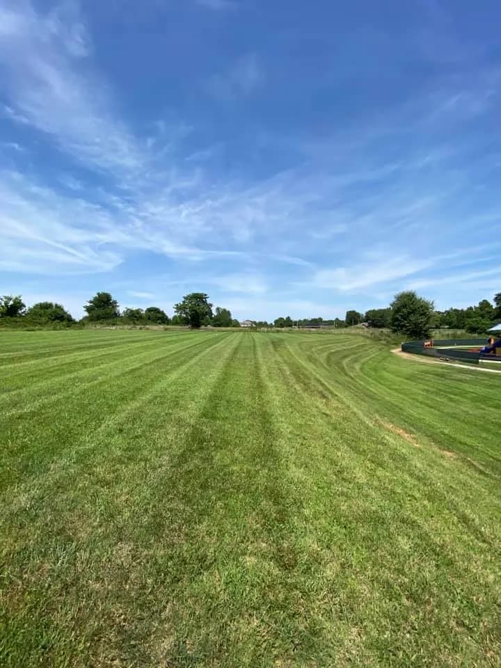 Pureleaf Lawncare LLC photo from the Google listing