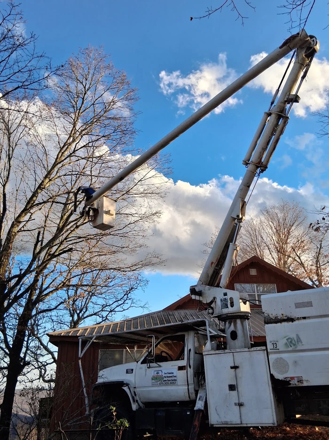 Razorback Tree Service photo from the Google listing