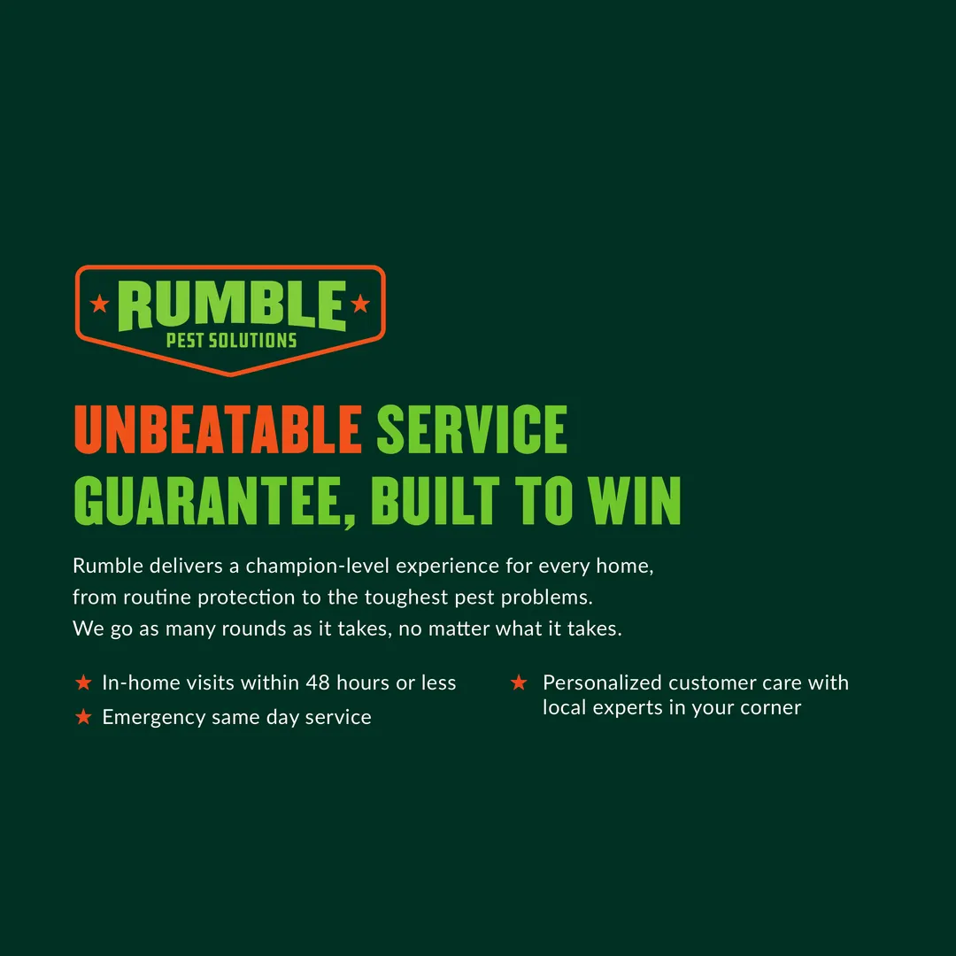 Rumble Pest Solutions photo from the Google listing
