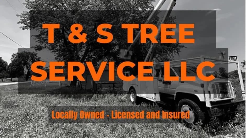 T&S Tree Service photo from the Google listing