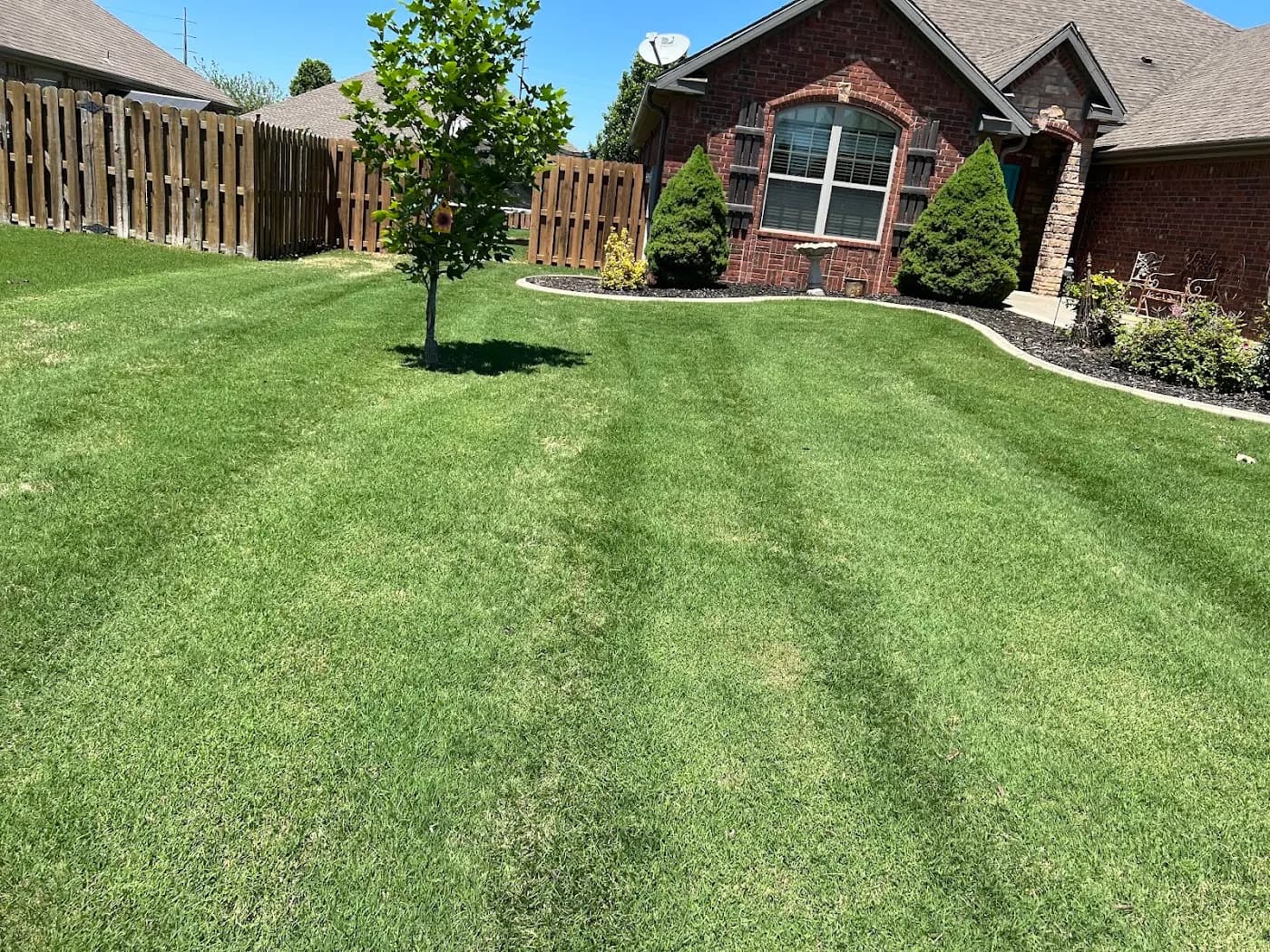 TJ's All Seasons Lawncare photo from the Google listing