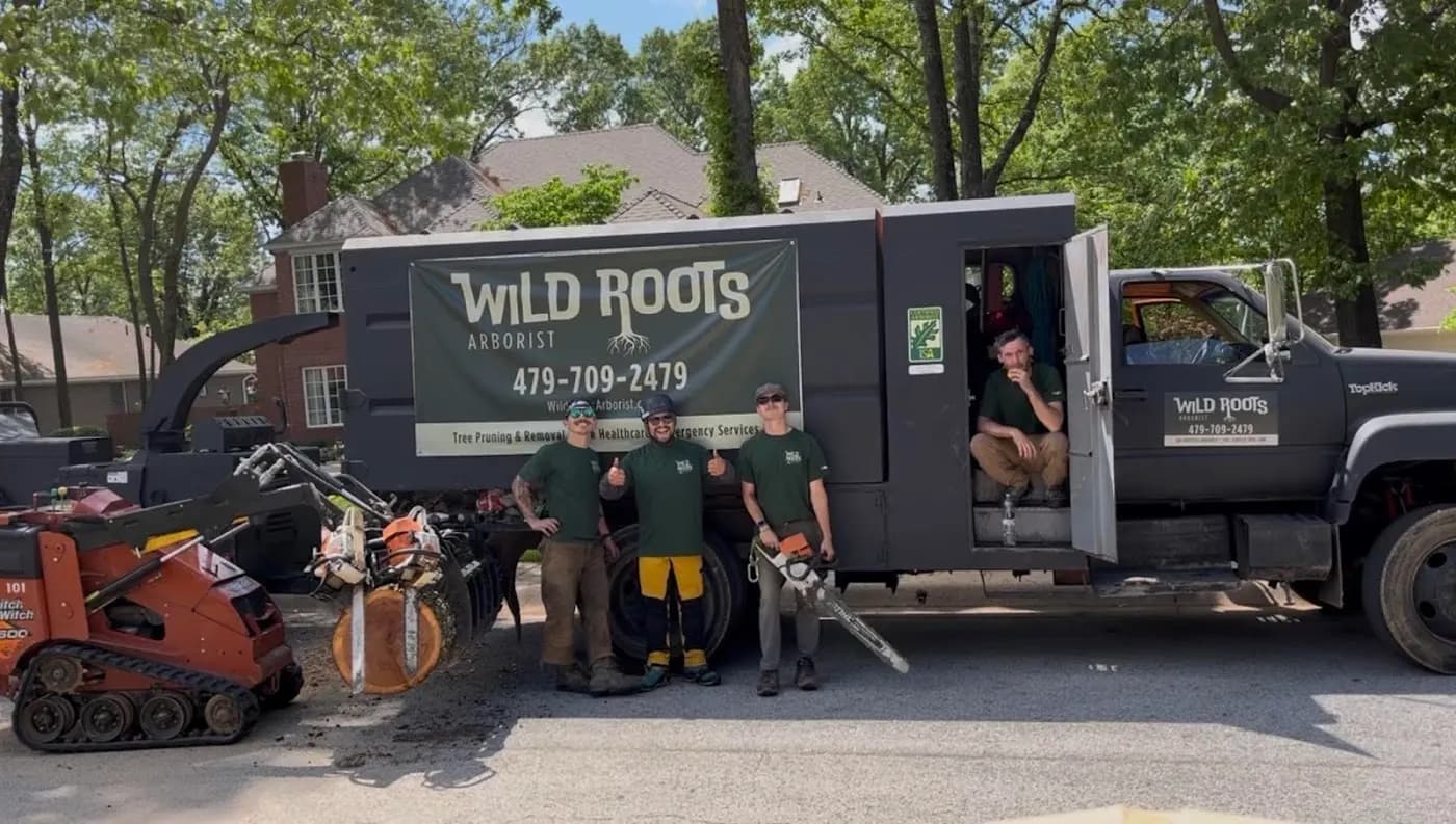 Wild Roots Arborist photo from the Google listing