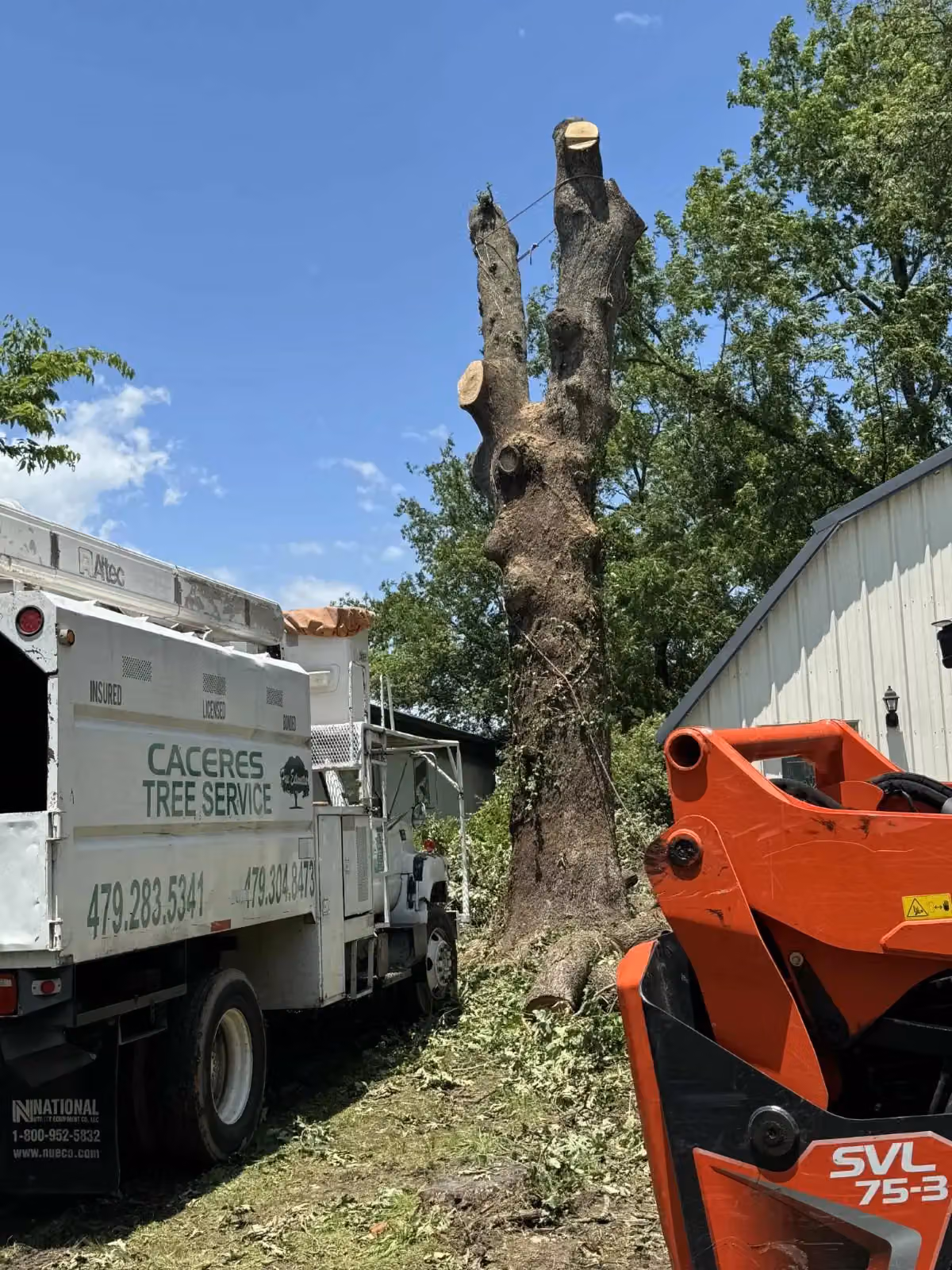 Caceres Tree Services photo, Tree service in Springdale, AR
