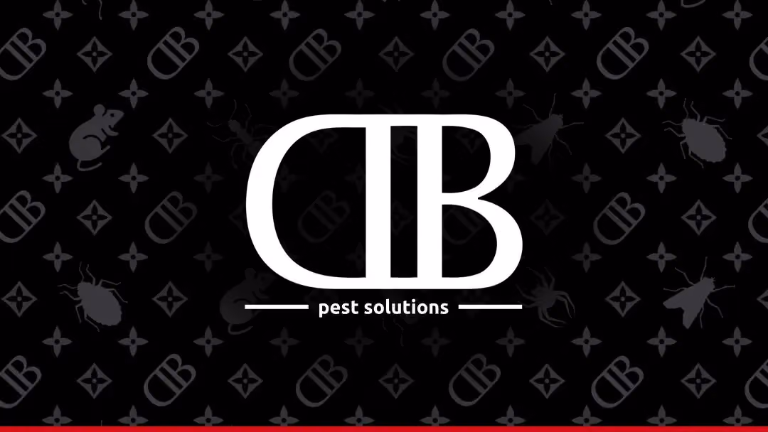 DB Pest Solutions photo, Pest control in Northwest Arkansas