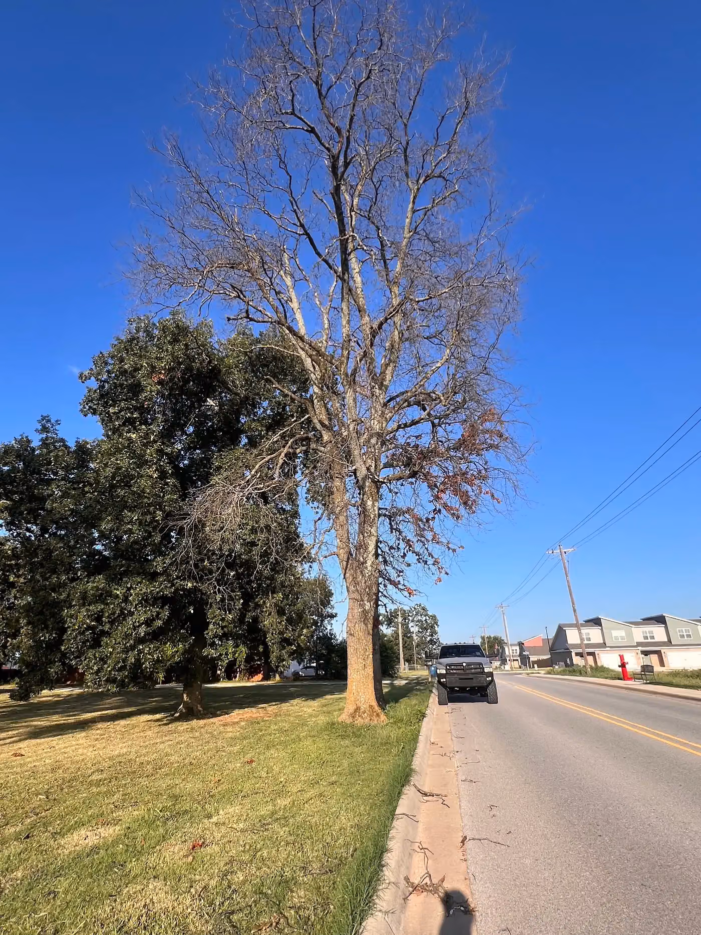 Fisher Worx photo, Tree service in Pea Ridge, AR