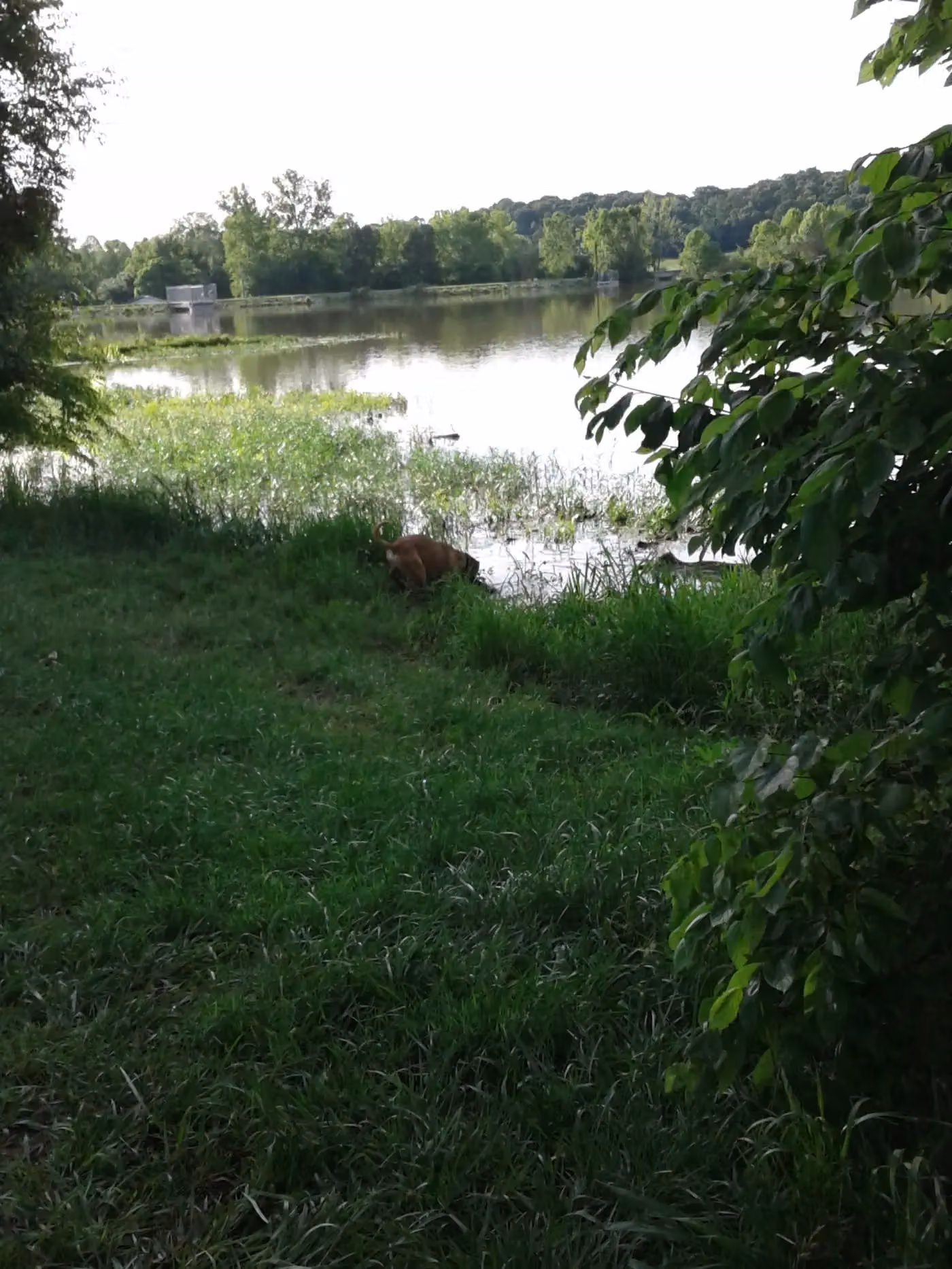 Gardens By You And Me photo, Landscaping and lawn care in Siloam Springs, AR