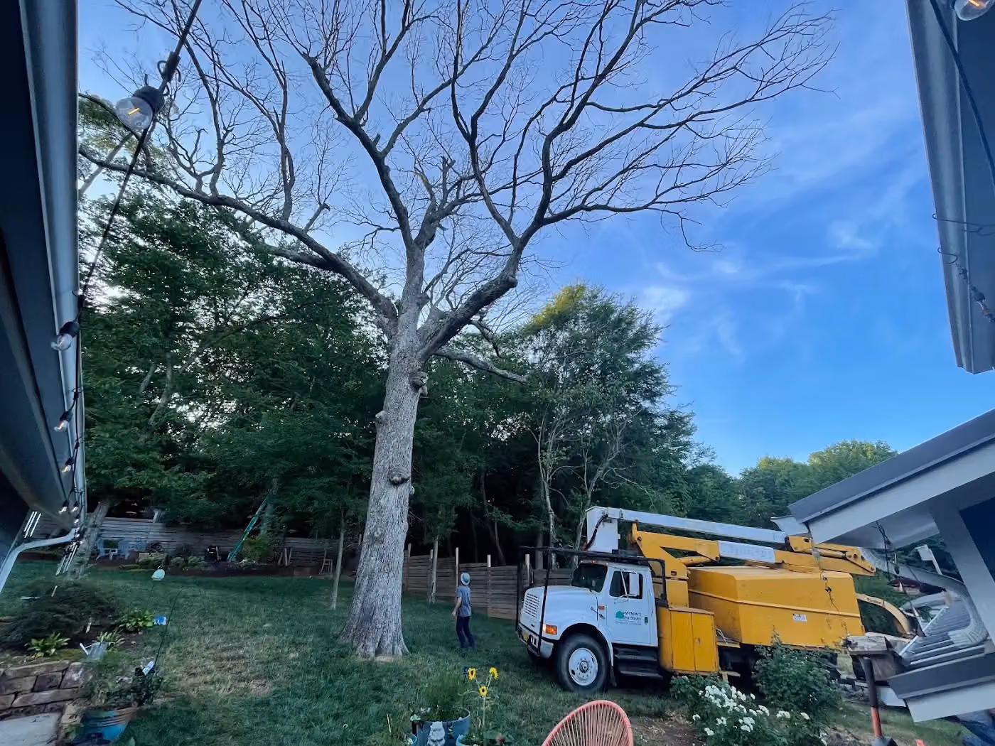 Huffman Tree Service photo, Tree service in Northwest Arkansas