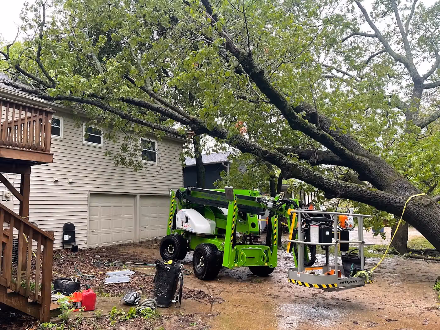 Lombard Tree Service photo, Tree service in Rogers, AR