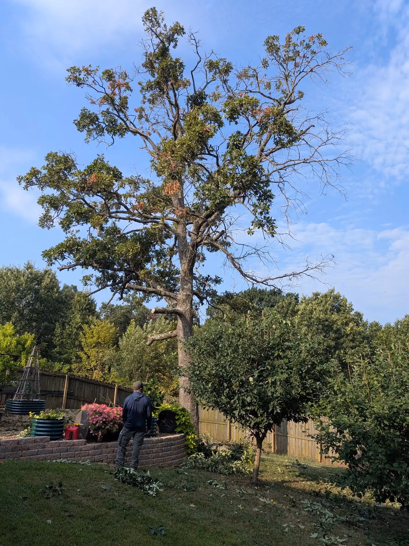 Navarro tree service photo, Tree service in Rogers, AR