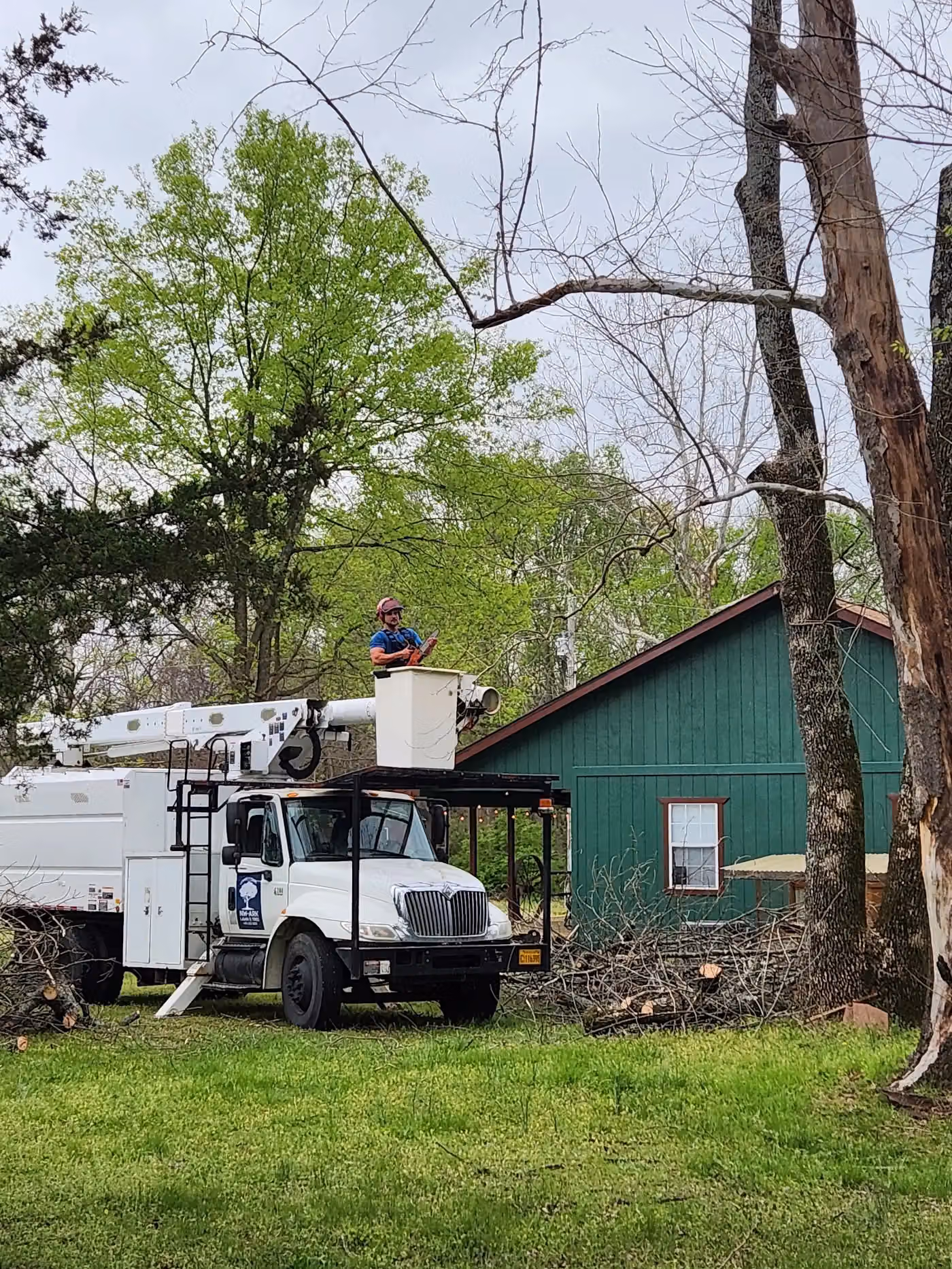 NW-Ark Tree photo, Tree service in Northwest Arkansas