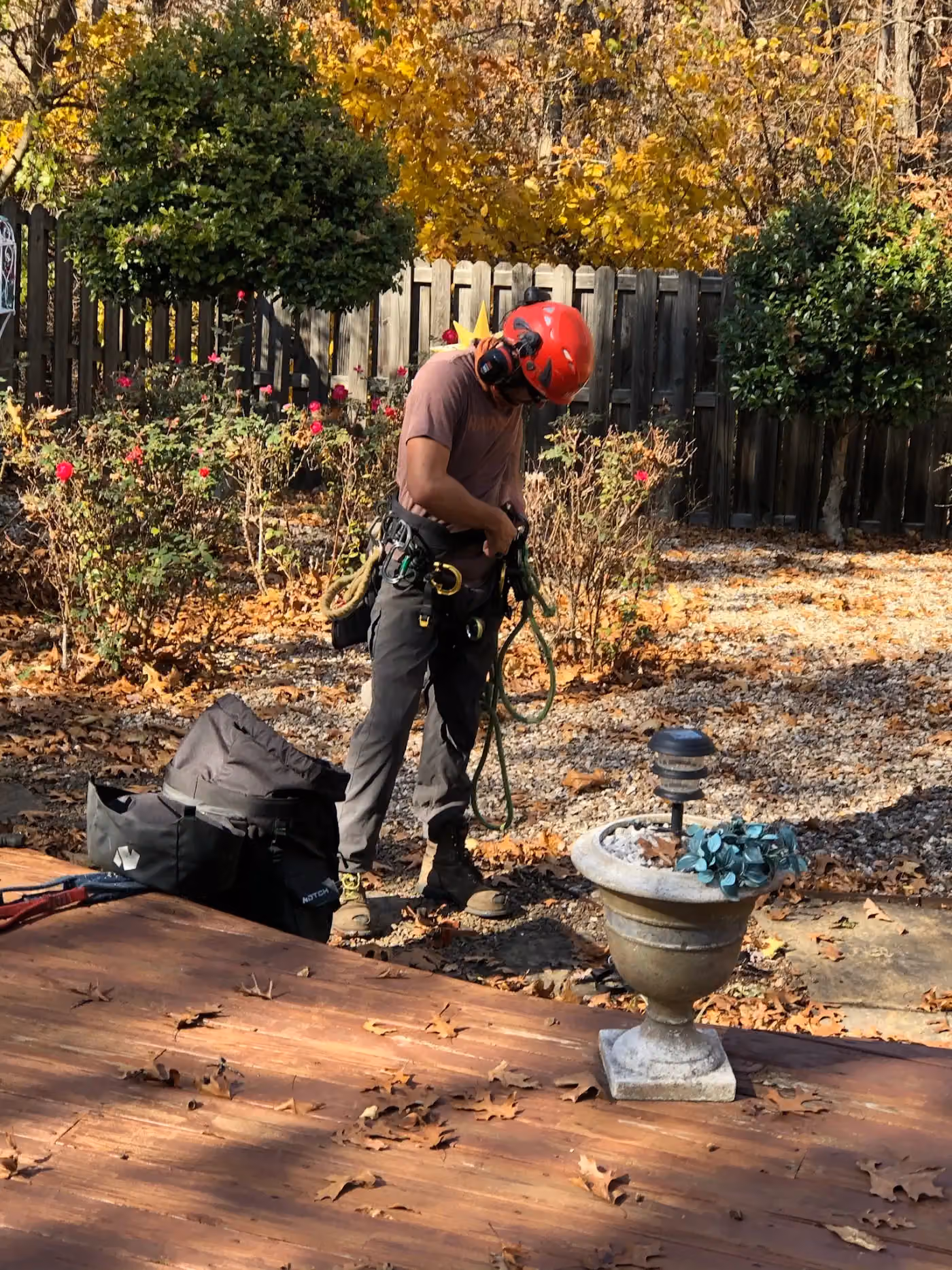 Raines Tree Care photo, Tree service in Bentonville, AR