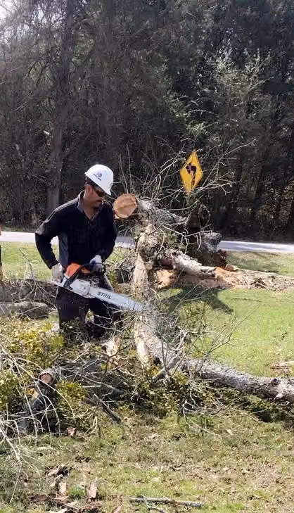 Reliable Tree Service photo, Tree service in Rogers, AR