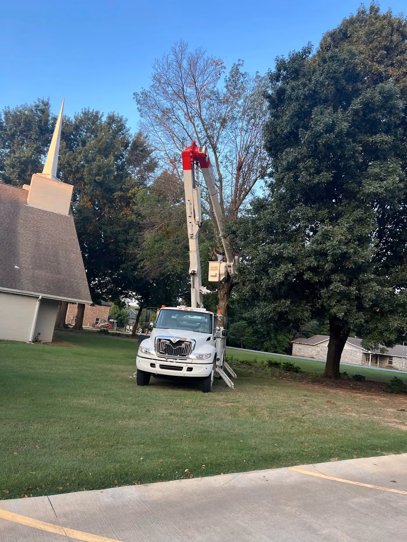Rogers tree service photo, Tree service in Northwest Arkansas