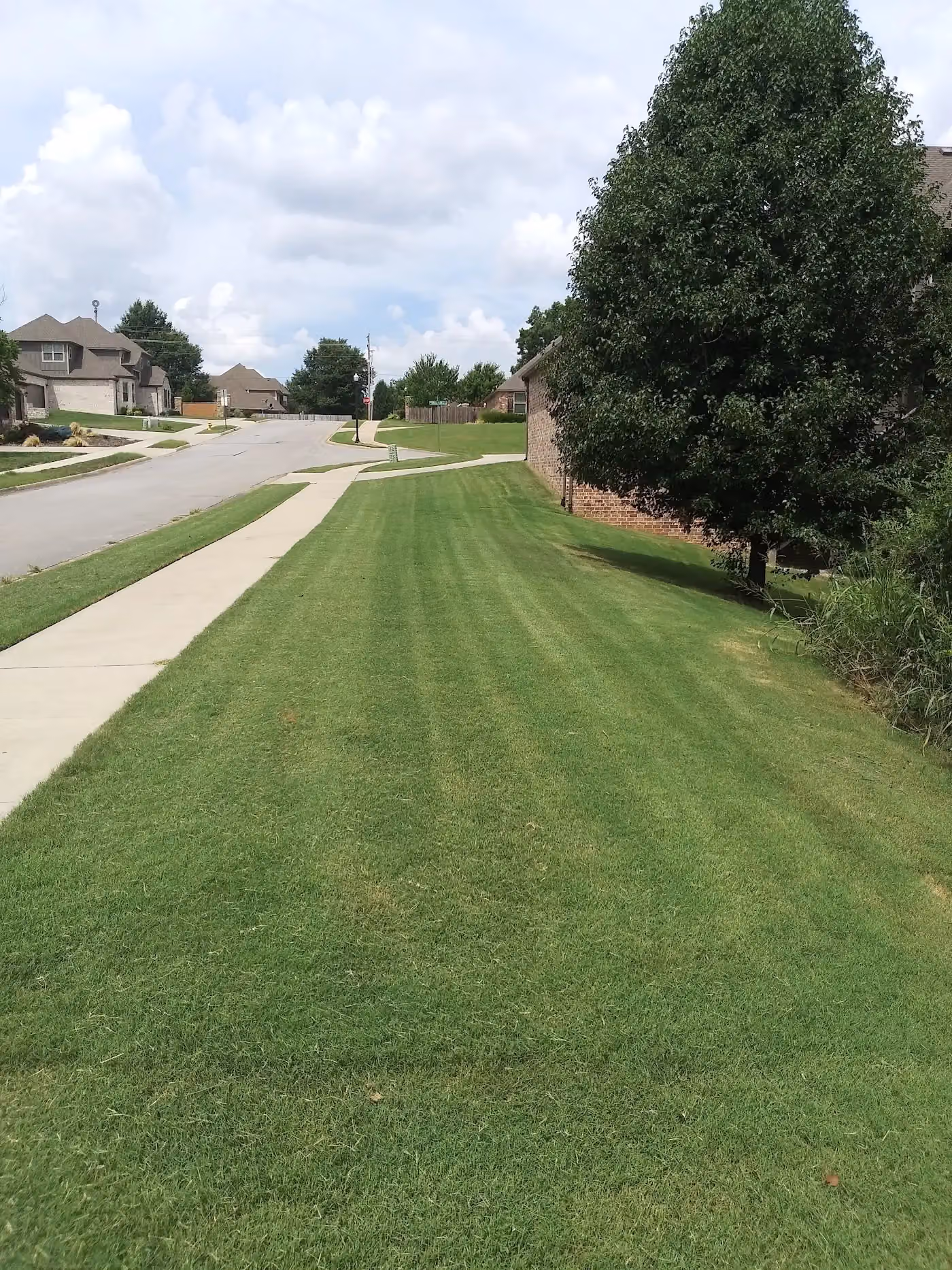 SmartLawnsPlus photo, Landscaping and lawn care in Bella Vista, AR