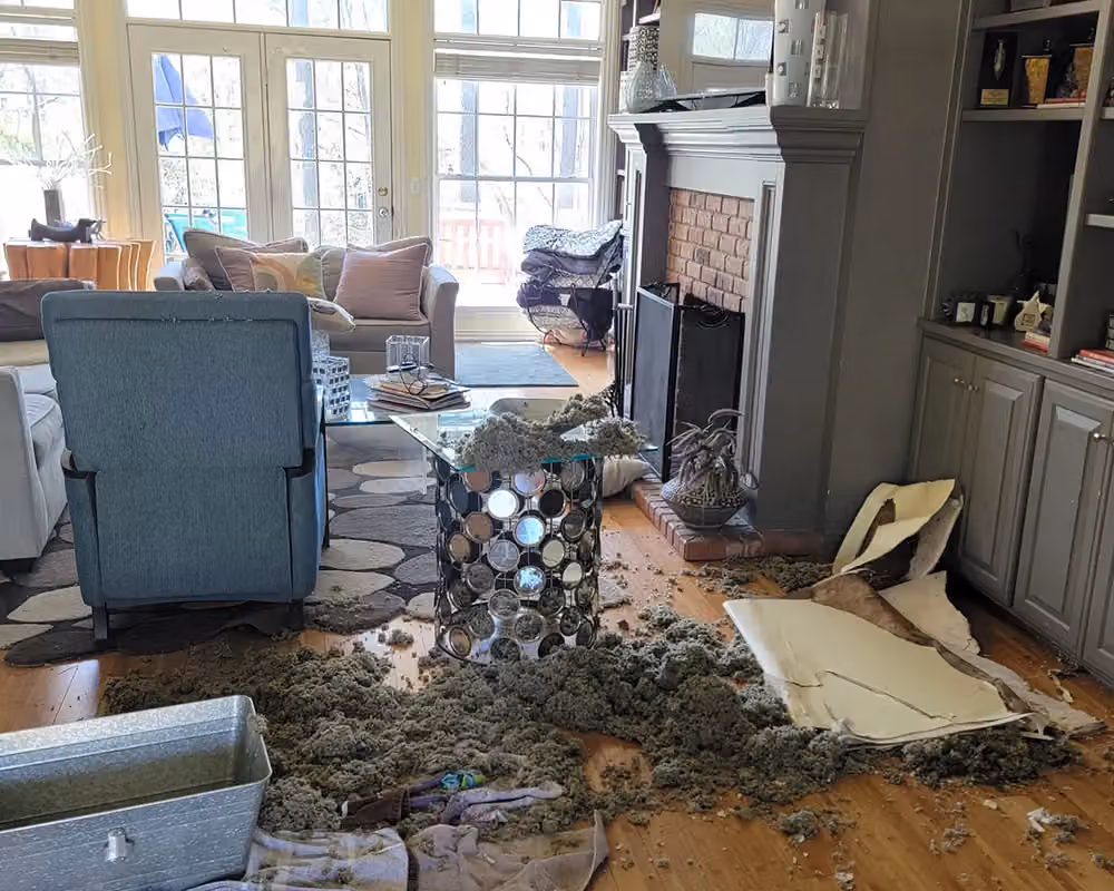 Srita & Sons photo, Water damage and restoration in West Fork, AR
