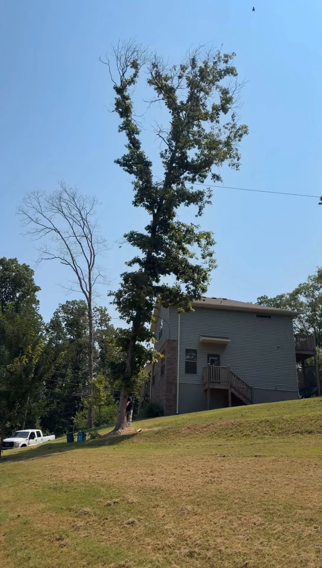 StormBridge LLC photo, Tree service in Bella Vista, AR