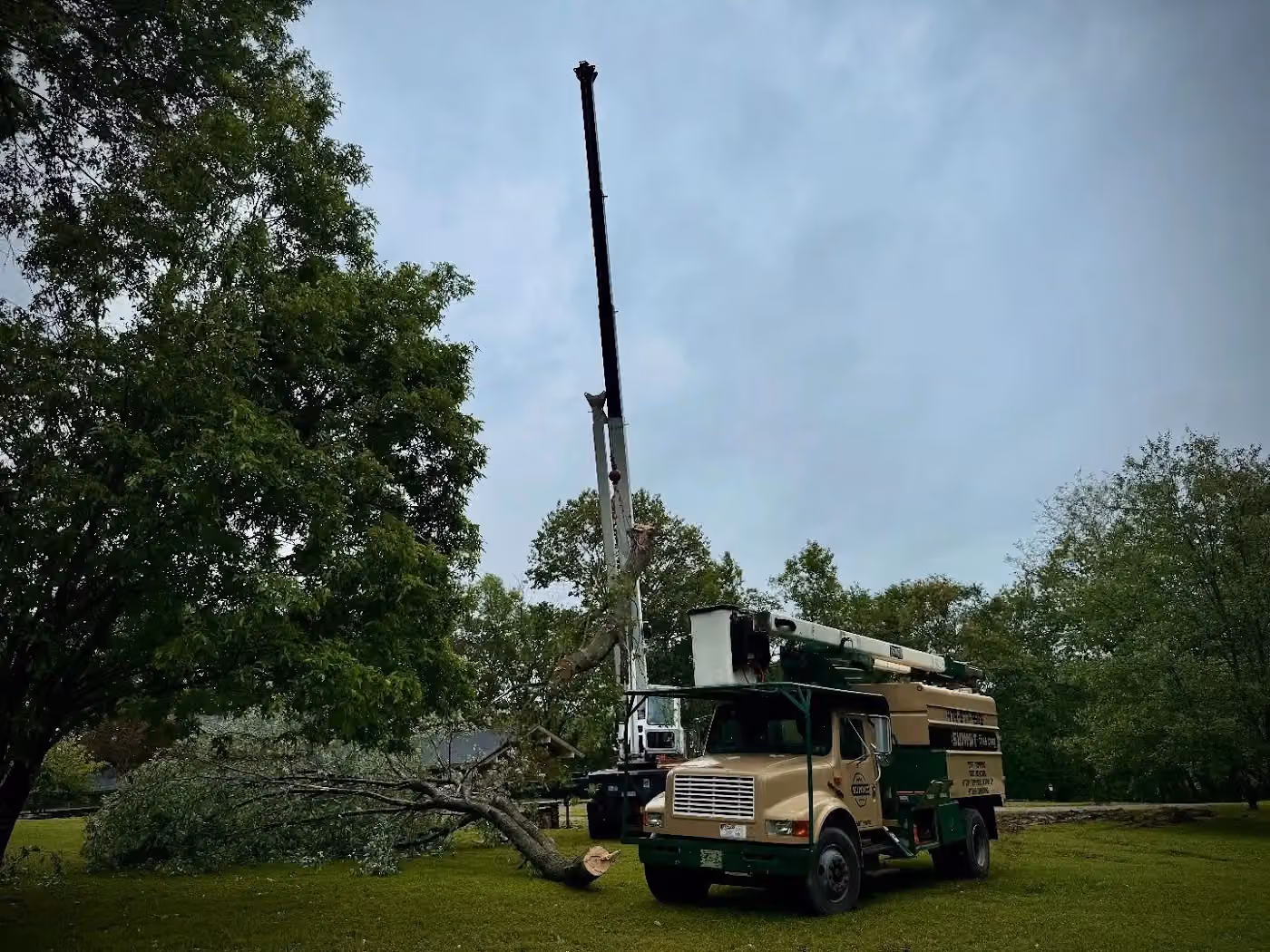 Summit Tree Care photo, Tree service in Northwest Arkansas