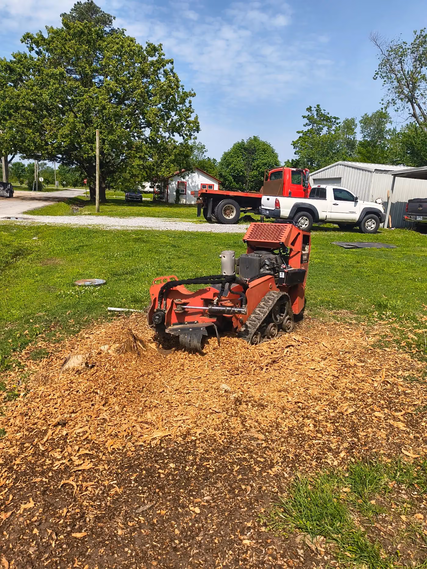 Tree management LLC photo, Tree service in Gentry, AR