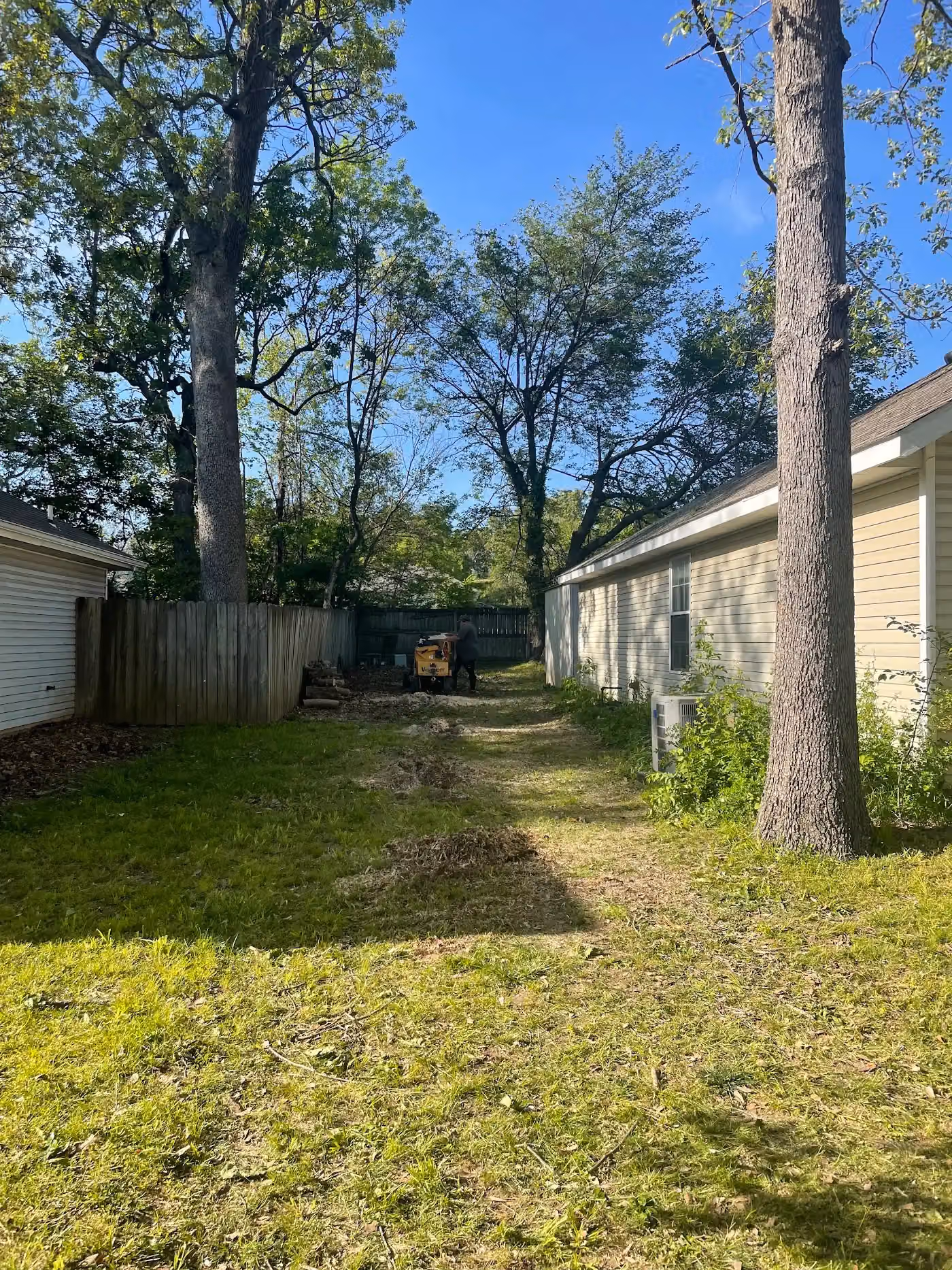 United Tree Service photo, Tree service in Pineville, AR