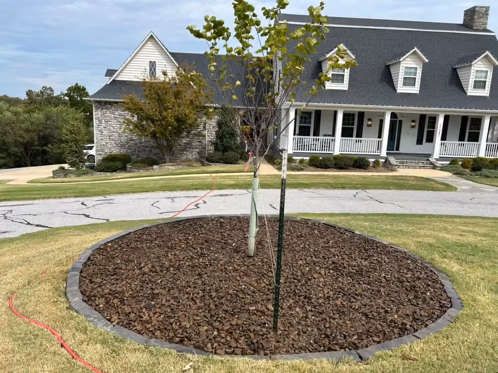 ARANA’S CONSTRUCTION & LANDSCAPING LLC photo, Landscaping and lawn care in Northwest Arkansas