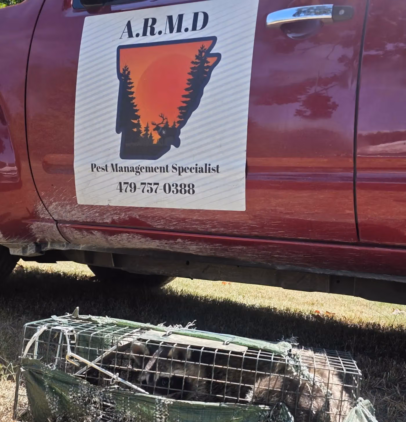 ARMD Pest Management Specialist photo, Pest control in Northwest Arkansas