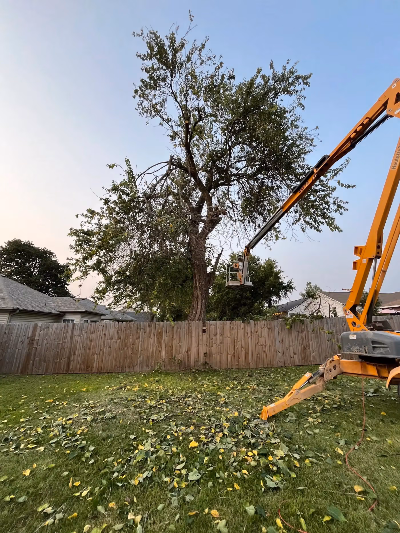Bark N Grind Tree Care LLC photo, Tree service in Northwest Arkansas