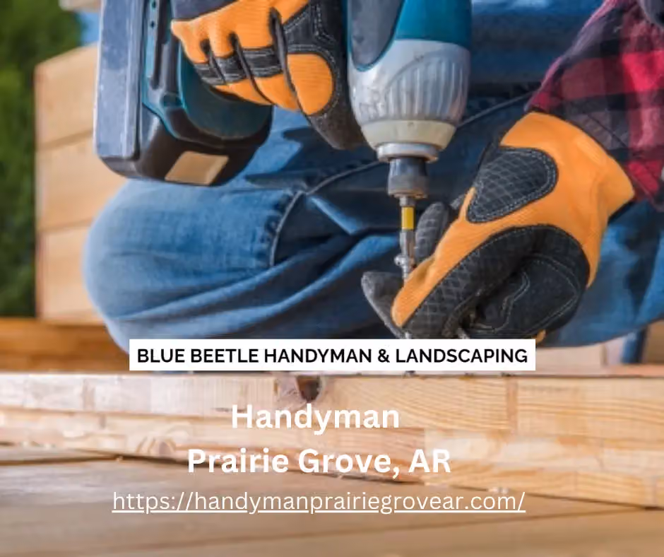 Blue Beetle Handyman & Landscaping photo from the Google listing