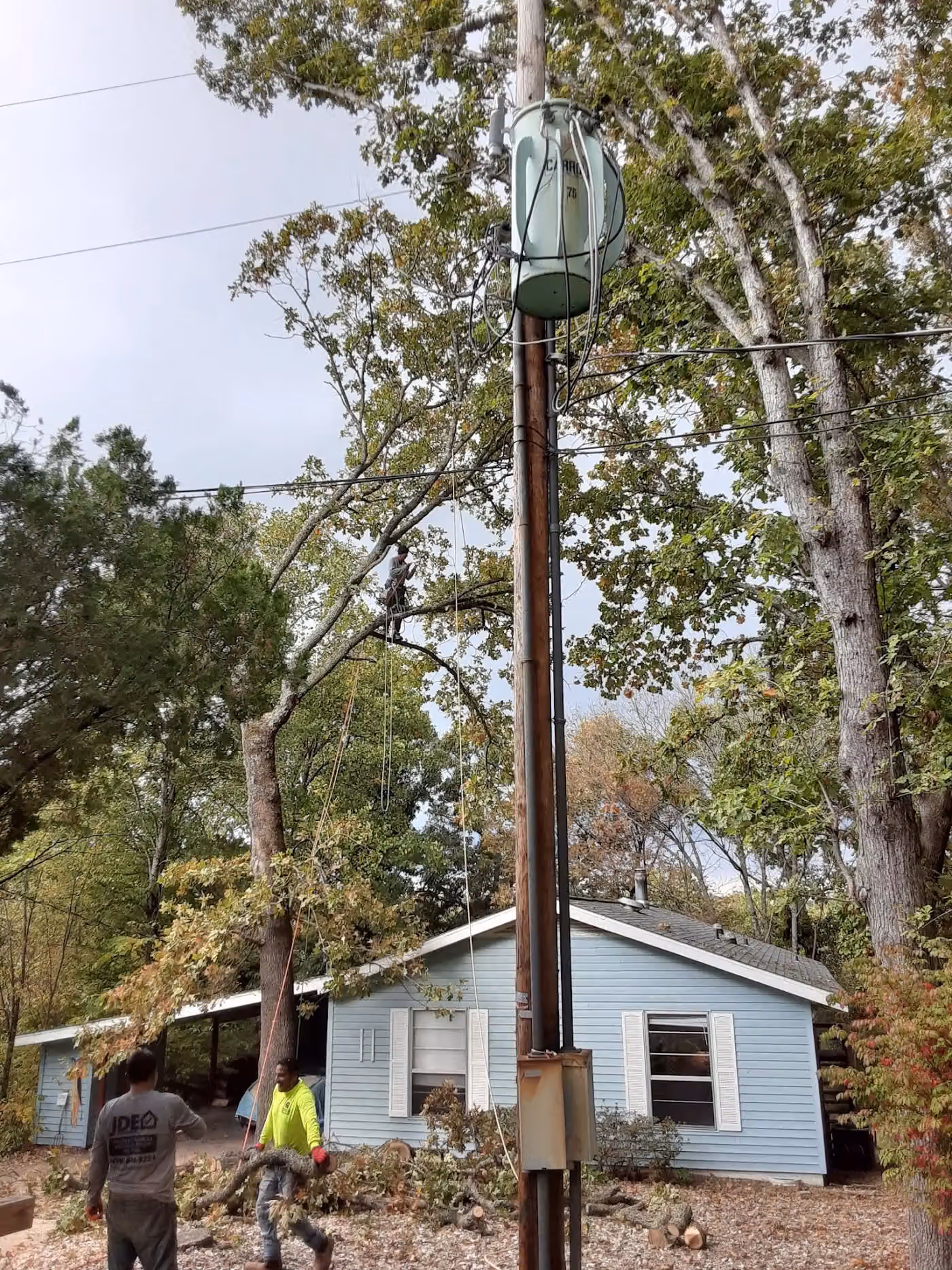 Gladiators Tree Service LLC photo, Tree service in Springdale, AR
