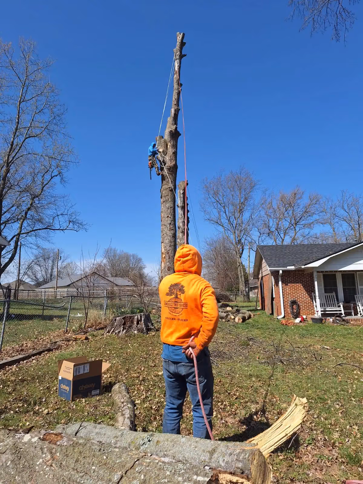 Gonzalez Tree Services Inc photo, Tree service in Northwest Arkansas