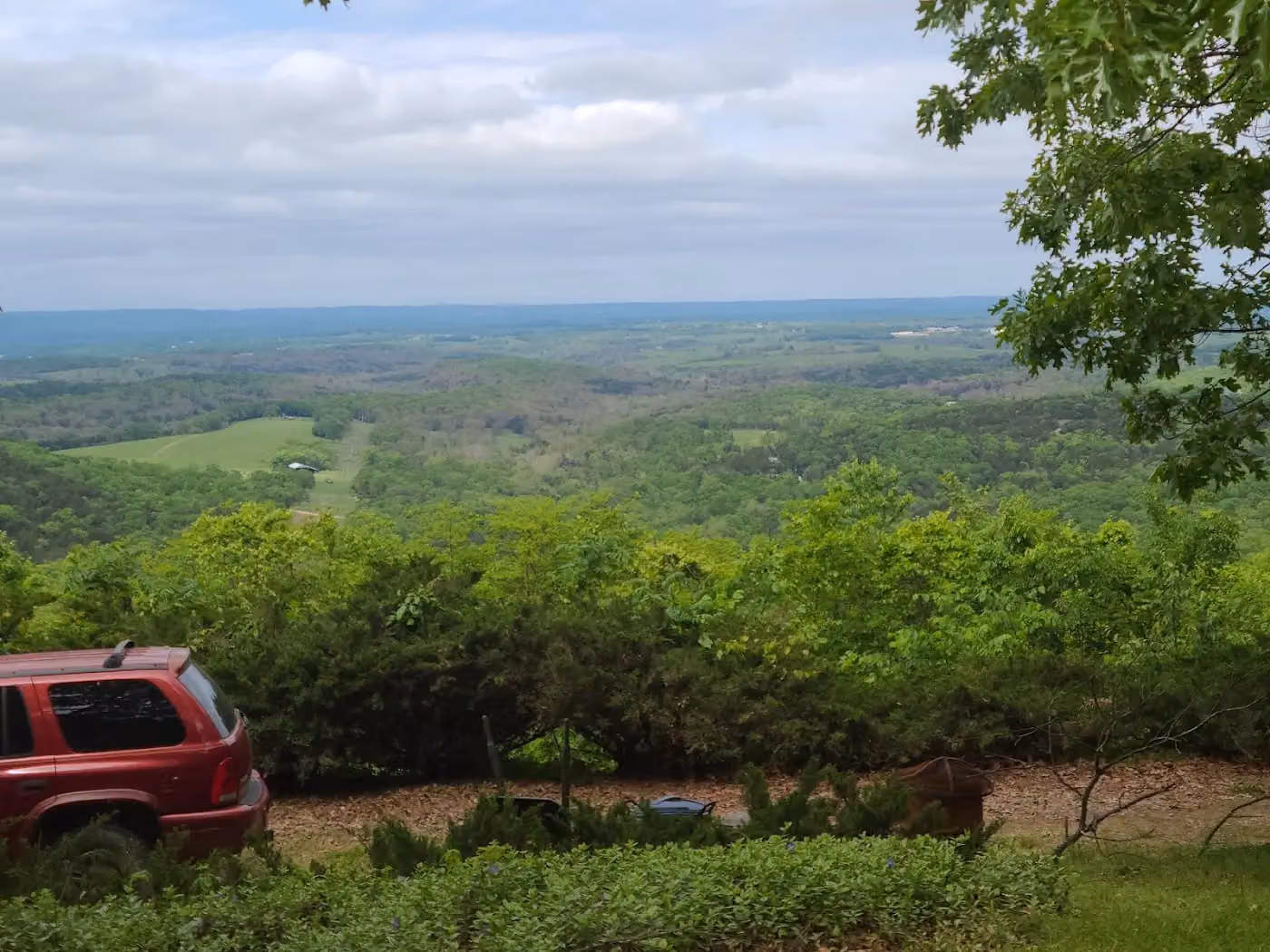 Grind It Wright Outdoor Services LLC photo, Tree service in Northwest Arkansas