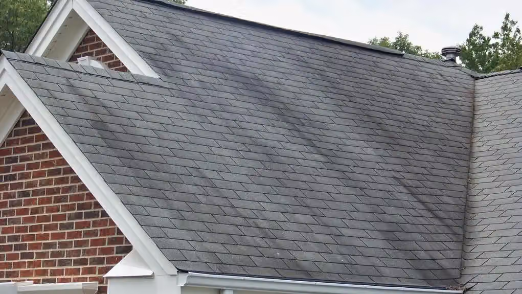 Roofing & Repair Services photo from the Google listing