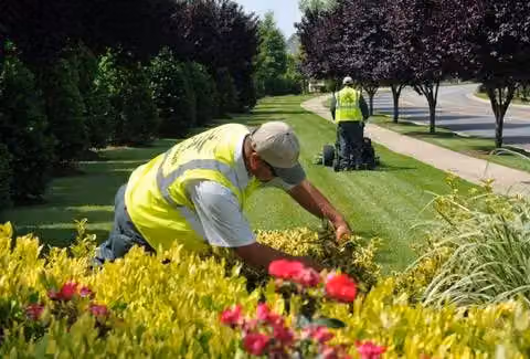 U.S. Lawns - Arkansas NW photo, Landscaping and lawn care in Northwest Arkansas