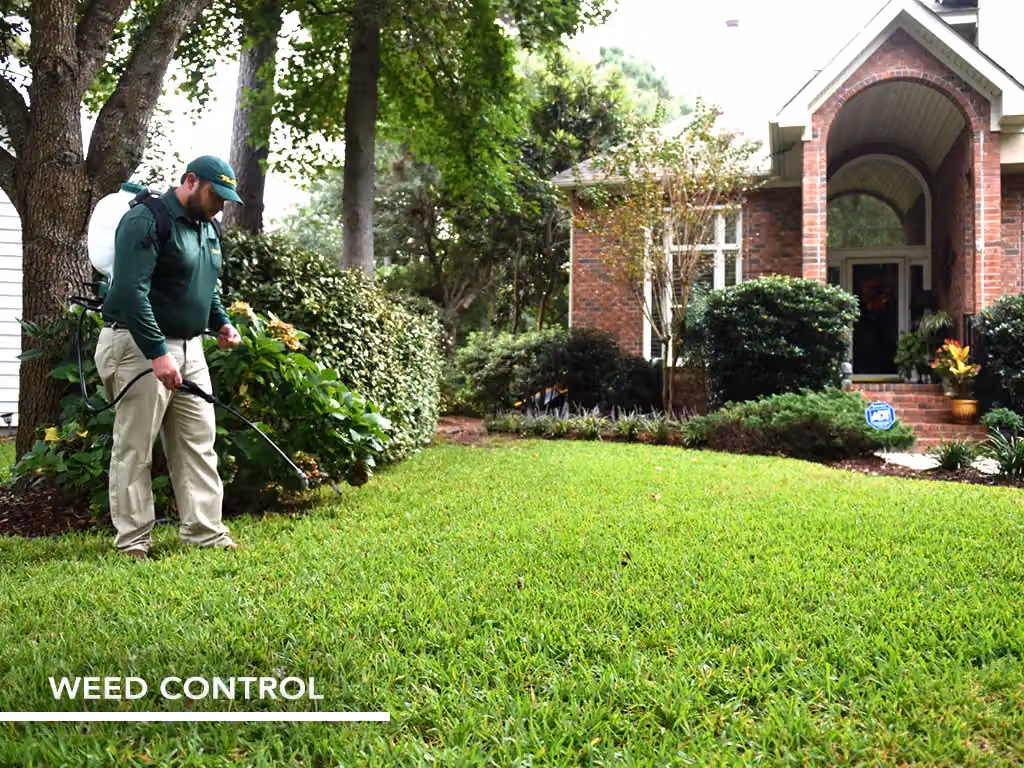 Weed Man Lawn Care photo, Landscaping and lawn care in Springdale, AR